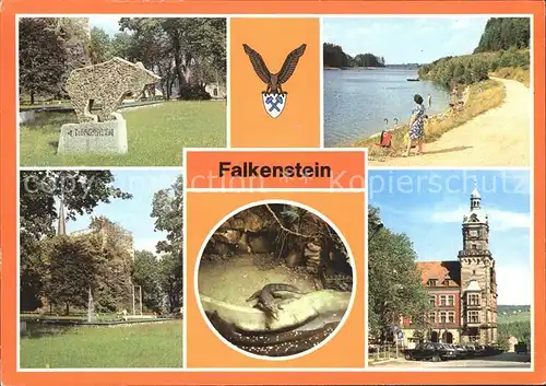 Falkenstein Vogtland Schlossfelsen Talsperre Promenade Tierpark Krokodil Rathaus Kat. Falkenstein Vogtland