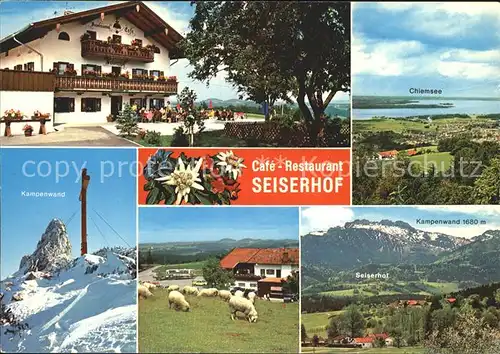 Bernau Chiemsee Restaurant Cafe Pension Seiserhof Kampenwand Gipfelkreuz Schafe Alpenflora Kat. Bernau a.Chiemsee
