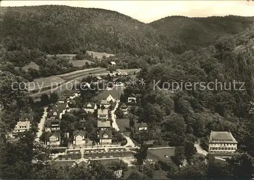 Schwarzburg Thueringer Wald Fliegeraufnahme Kat. Schwarzburg