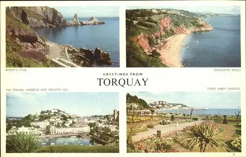 Torquay Torbay Anstey Cove Torre Abbey Gardens Strand Harbour  Kat. Torbay