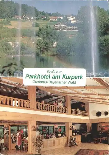 Grafenau Niederbayern Parkhotel am Kurpark  Kat. Grafenau