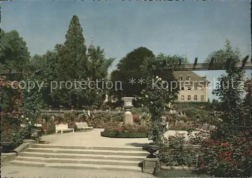 Insel Mainau Rosengarten Kat. Konstanz Bodensee