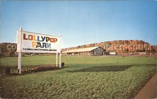 Rochester New York Lollypop Farm Kat. Rochester