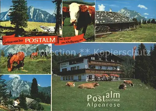 Strobl Postalm Gasthof Alpenrose Kat. Strobl