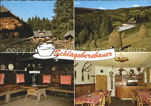 Alpl Geburtshaus Rosegger Gasthof Schlagobersbauer Kat. Krieglach