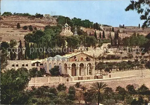 Jerusalem Yerushalayim Basilika mit Garten Kat. Israel