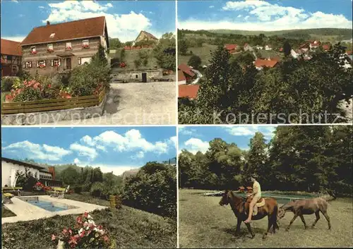 Wallduern Reinhardsachsen Haus am Frankenbrunnen Pferde Kat. Wallduern