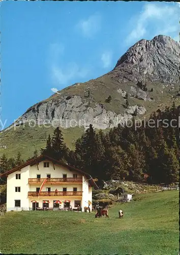 Grossglockner Alpengasthof Moa Alm Kat. Heiligenblut