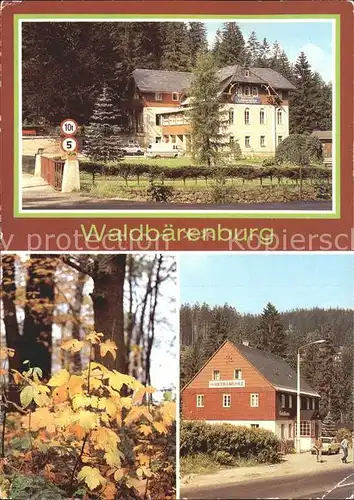 Waldbaerenburg Ferienheim Schaefermuehle Riedelmuehle  Kat. Altenberg