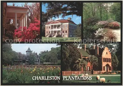 Charleston South Carolina Plantations Boone Hall Drayton Hall  Kat. Charleston