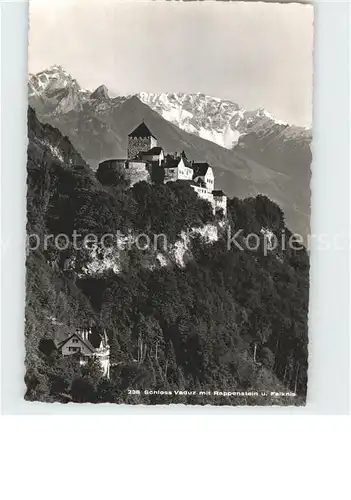 Vaduz Fliegeraufnahme Schloss mit Rappenstein und Falknis Kat. Vaduz