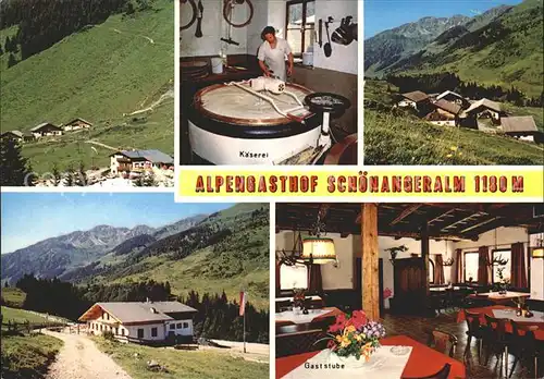 Wildschoenau Tirol Alpengasthof Schoenangeralm / Kufstein /Tiroler Unterland