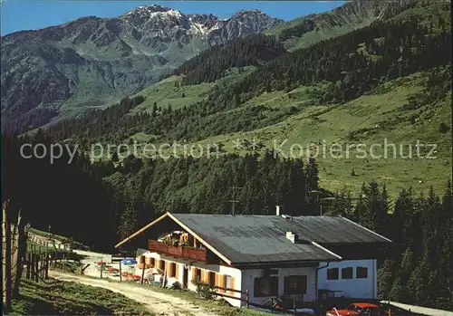 Wildschoenau Tirol Wandergebiet Schoenangeralm / Kufstein /Tiroler Unterland
