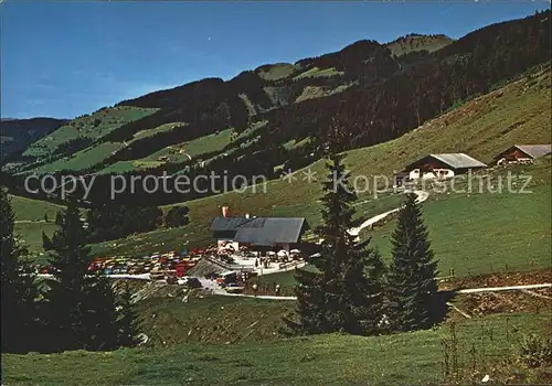 Wildschoenau Tirol Alpengasthof Schoenangeralm / Kufstein /Tiroler Unterland
