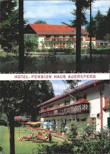 Haidmuehle Hotel Pension Haus Auersperg Kat. Haidmuehle