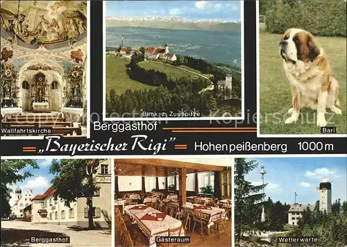 Hohenpeissenberg Terrassencafe Bayerischer Rigi Hund Bari Weterwarte Berggasthof  Kat. Hohenpeissenberg