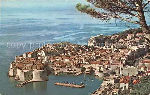 Dubrovnik Ragusa Blick auf die Altstadt Hafen Festung Kueste Kat. Dubrovnik