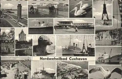 Cuxhaven Nordseebad Moewe Seehund Pelikan Schiff Promenade Leuchtturm Kat. Cuxhaven