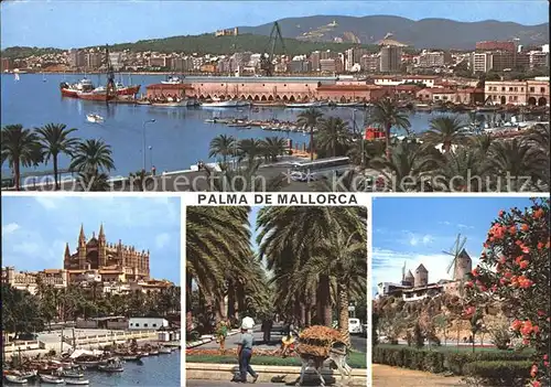 Palma de Mallorca Hafen Park Promenade Kirche Kat. Palma de Mallorca