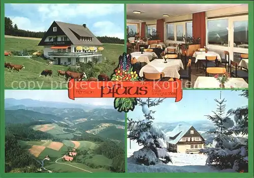 Muehlenbach Baden Cafe Pension Pfaus Kat. Muehlenbach