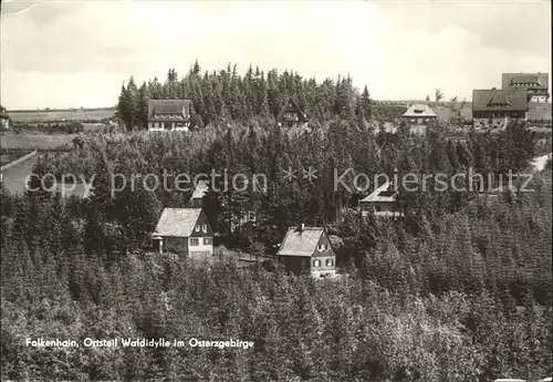 Falkenhain Altenberg Erzgebirge Waldidylle Kat. Altenberg