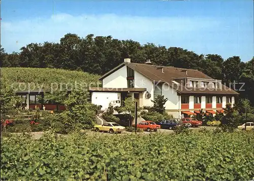 Bischoffingen Weinstube Steinbuck mit Gaestehaus Weinanbaugebiet Kat. Vogtsburg im Kaiserstuhl