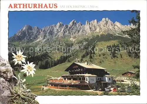 Muehlbach Hochkoenig Hotel Arthurhaus Edelweiss Berchtesgadener Alpen Kat. Muehlbach am Hochkoenig