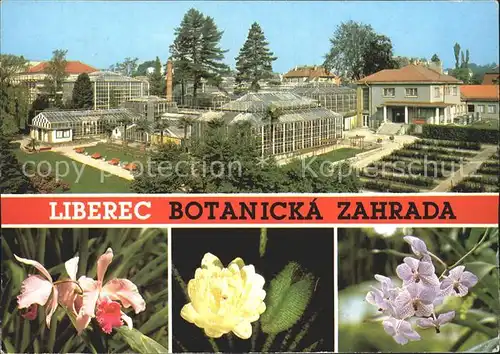 Liberec Botanicka zahrada Cattleya hybr Victoria regia Vanda coerulea Kat. Liberec