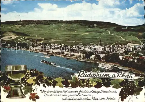 Ruedesheim Rhein Panorama Kat. Ruedesheim am Rhein