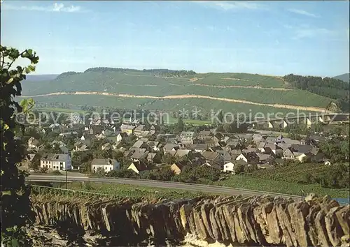 Muelheim Mosel Stadtansicht Kat. Muelheim (Mosel)