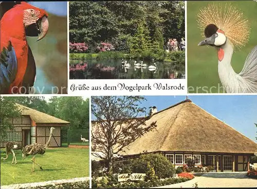 Walsrode Lueneburger Heide Vogelpark Kat. Walsrode