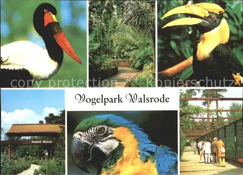 Walsrode Lueneburger Heide Vogelpark Kat. Walsrode