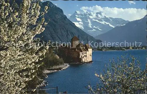Lac Leman Genfersee Chateau de Chillon et Dents du Midi / Genf /Bz. Geneve City