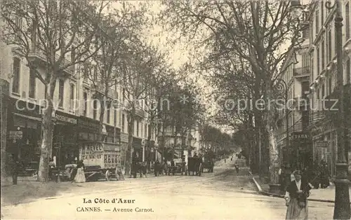 Cannes Alpes Maritimes Avenue Carnot Kat. Cannes