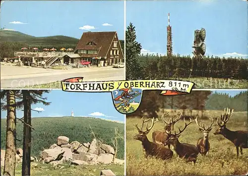 Torfhaus Harz Sporthotel Brockenblick Hirsch  Kat. Altenau