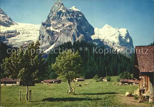 Rosenlauigletscher  Kat. Rosenlauistock