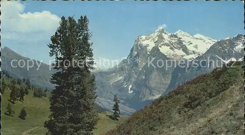 Kleine Scheidegg Wengen mit Wetterhorn Kat. Scheidegg Kleine