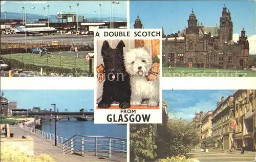 Glasgow A Double scotsch Hunde schwarz und weiss Kat. Glasgow City
