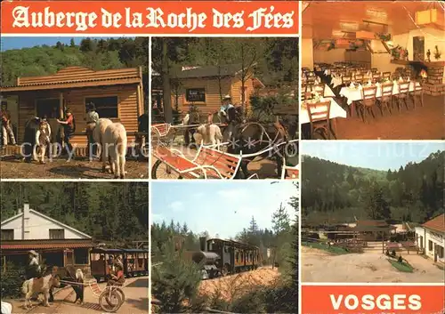 Saint Die des Vosges Auberge de la Roche des Fees Kat. Saint Die des Vosges