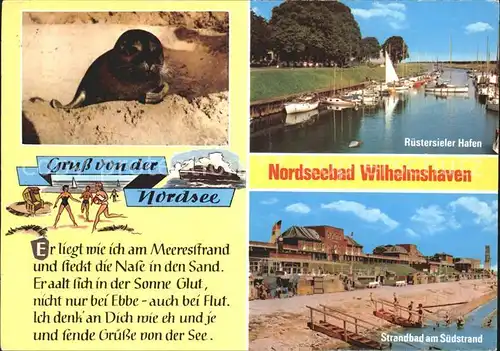 Wilhelmshaven Ruestersieler Hafen Strandbad am Suedstrand Seehund Kat. Wilhelmshaven