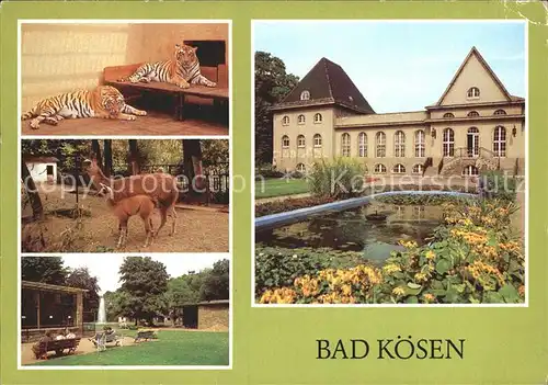 Bad Koesen Tierpark Kat. Bad Koesen