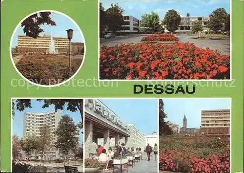 Dessau Rosslau Bauhaus Rathaus Cafe Africana Kat. Dessau Rosslau