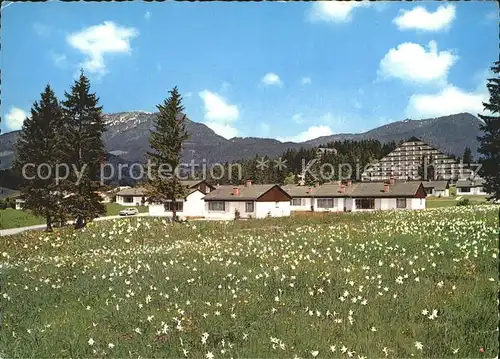 Mitterndorf Bad Sonnenalm Kat. Bad Mitterndorf Salzkammergut