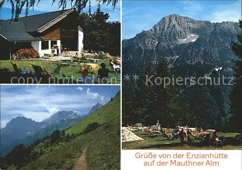 Koetschach Mauthen Kaernten Enzianhuette Mauthner Alm Kat. Koetschach Mauthen