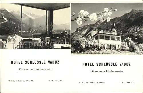 Vaduz Hotel Schloessle Kat. Vaduz