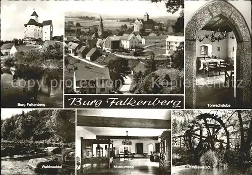 Falkenberg Oberpfalz Burg Falkenberg Kat. Falkenberg