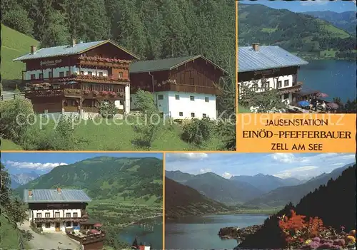 Zell See Jausenstation Einoed Pfefferbauer  Kat. Zell am See