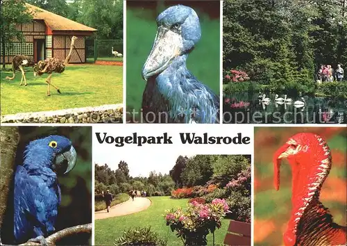 Walsrode Lueneburger Heide Vogelpark Kat. Walsrode