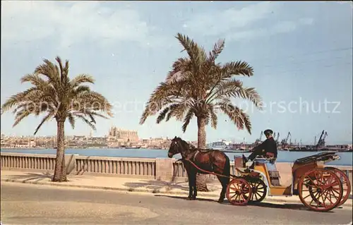 Palma de Mallorca Postkutsche Hafen Catedral Kat. Palma de Mallorca