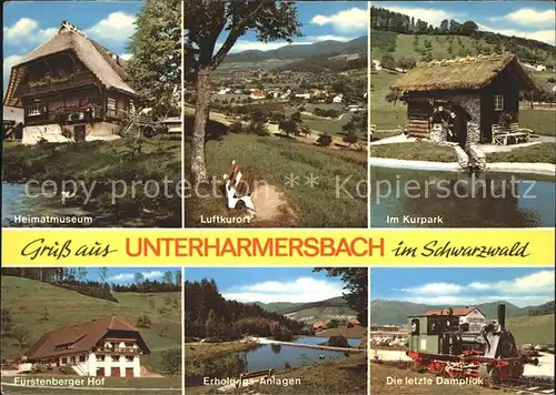Unterharmersbach Kurpark Heimatmuseum Fuerstenberger Hof  Dampflok Kat. Zell am Harmersbach